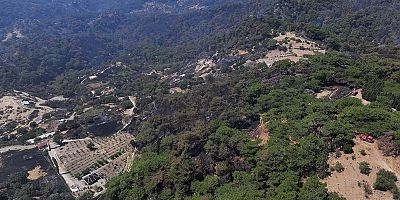 Yangın Felaketinde Hayvanlarını Kaybedenler Destek Arıyor