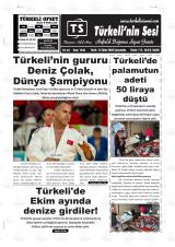 TÜRKELİ'NİN SESİ