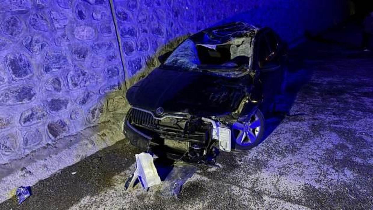 Feci kaza: Otomobil, ata çarptı: 1 ölü, 5 yaralı