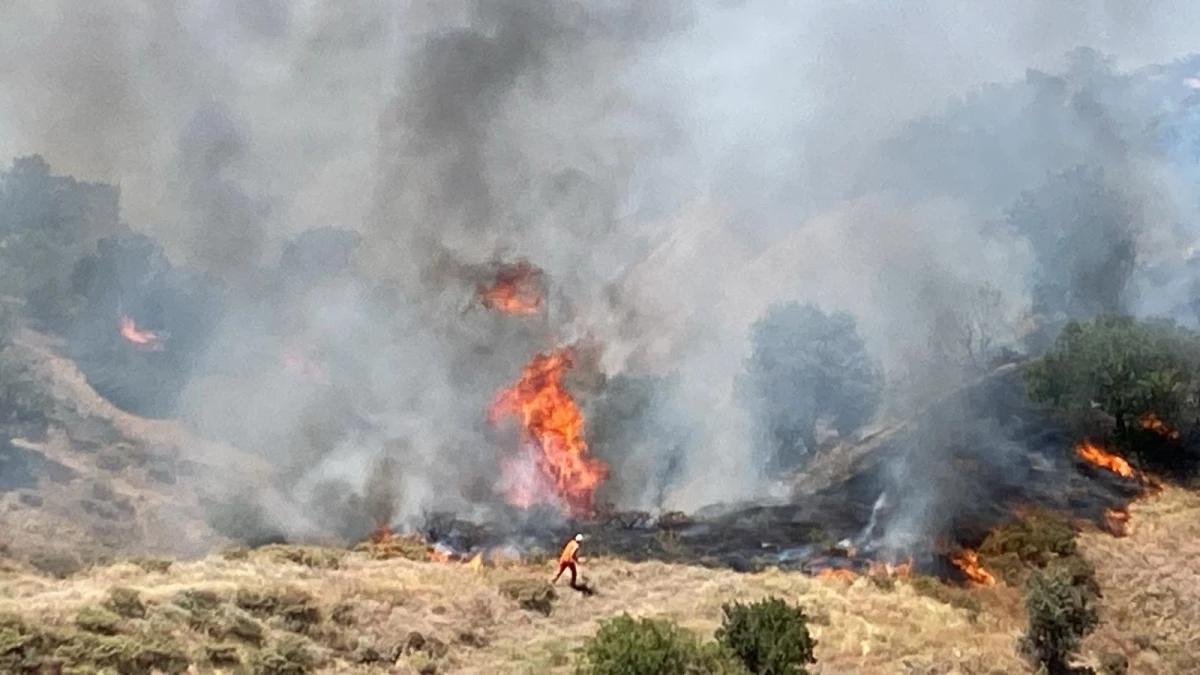 Bingöl’de Orman Yangını: Söndürme Çalışmaları Devam Ediyor