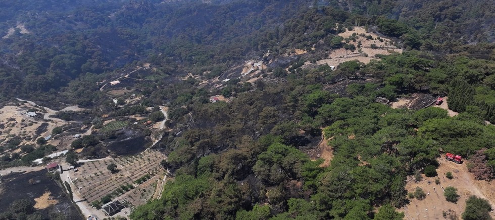Yangın Felaketinde Hayvanlarını Kaybedenler Destek Arıyor