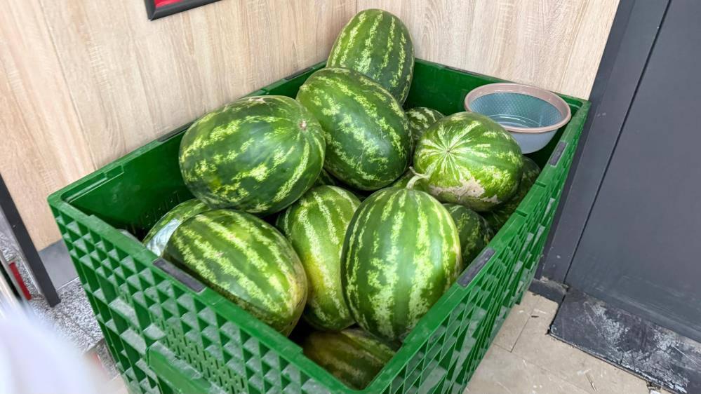 Tarladaki karpuz için öneri: 