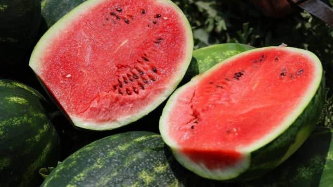 Tarladaki karpuz için öneri: “Belediyeler hasat edip ücretsiz dağıtsın”