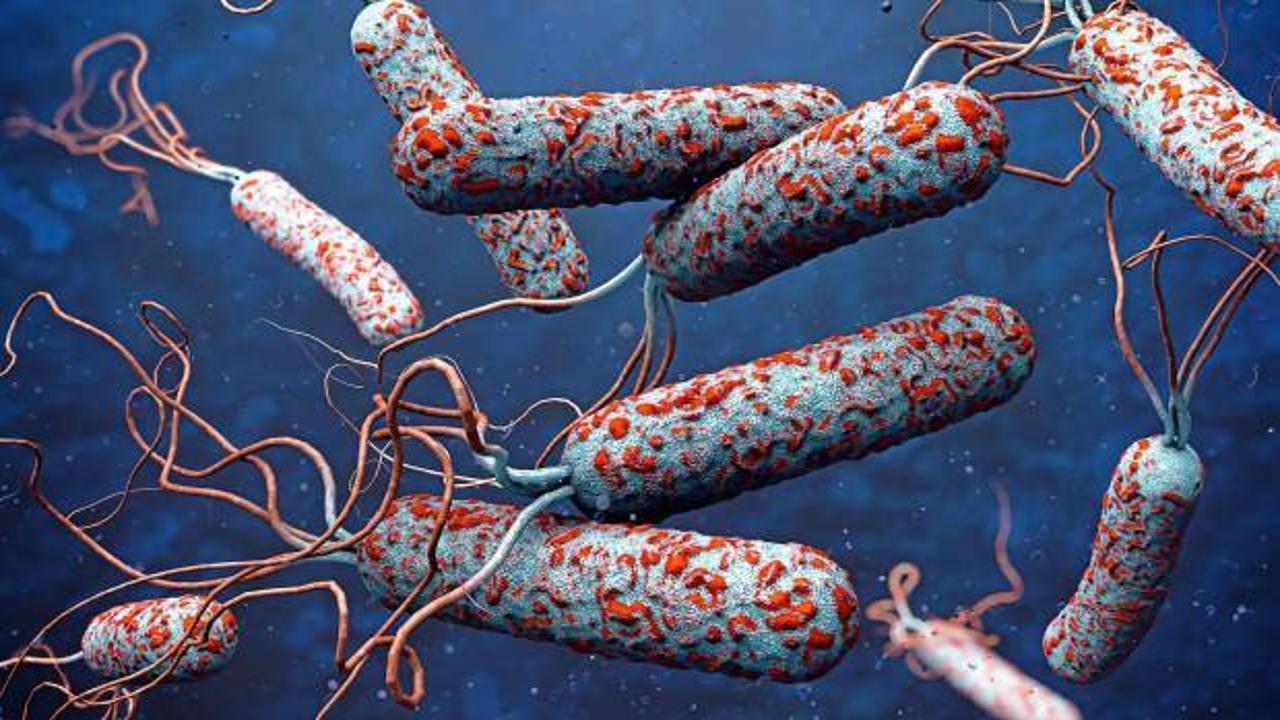 31 ülkede salgın alarmı! DSÖ’den uyarı: Risk çok yüksek