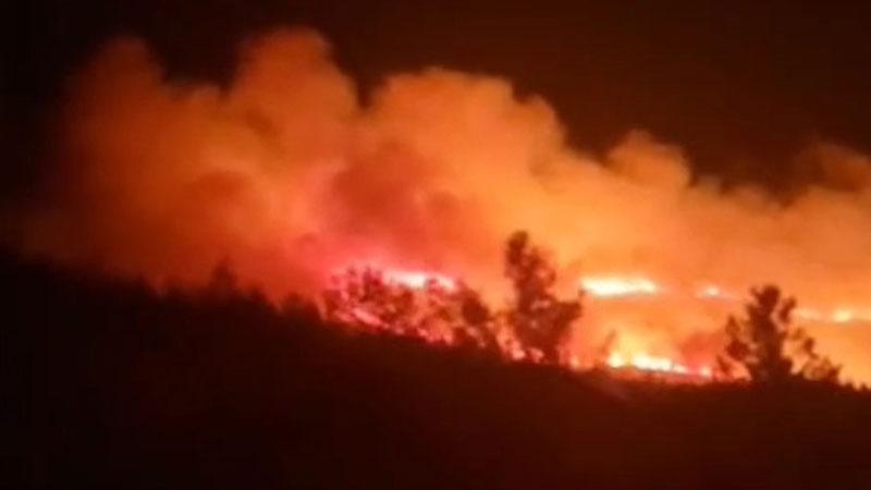 İzmir’de orman yangını