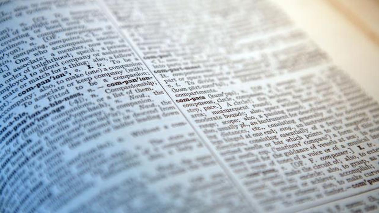 Dictionary.com, 2025’in kelimesini seçti: Kullanıcılar şaşkın