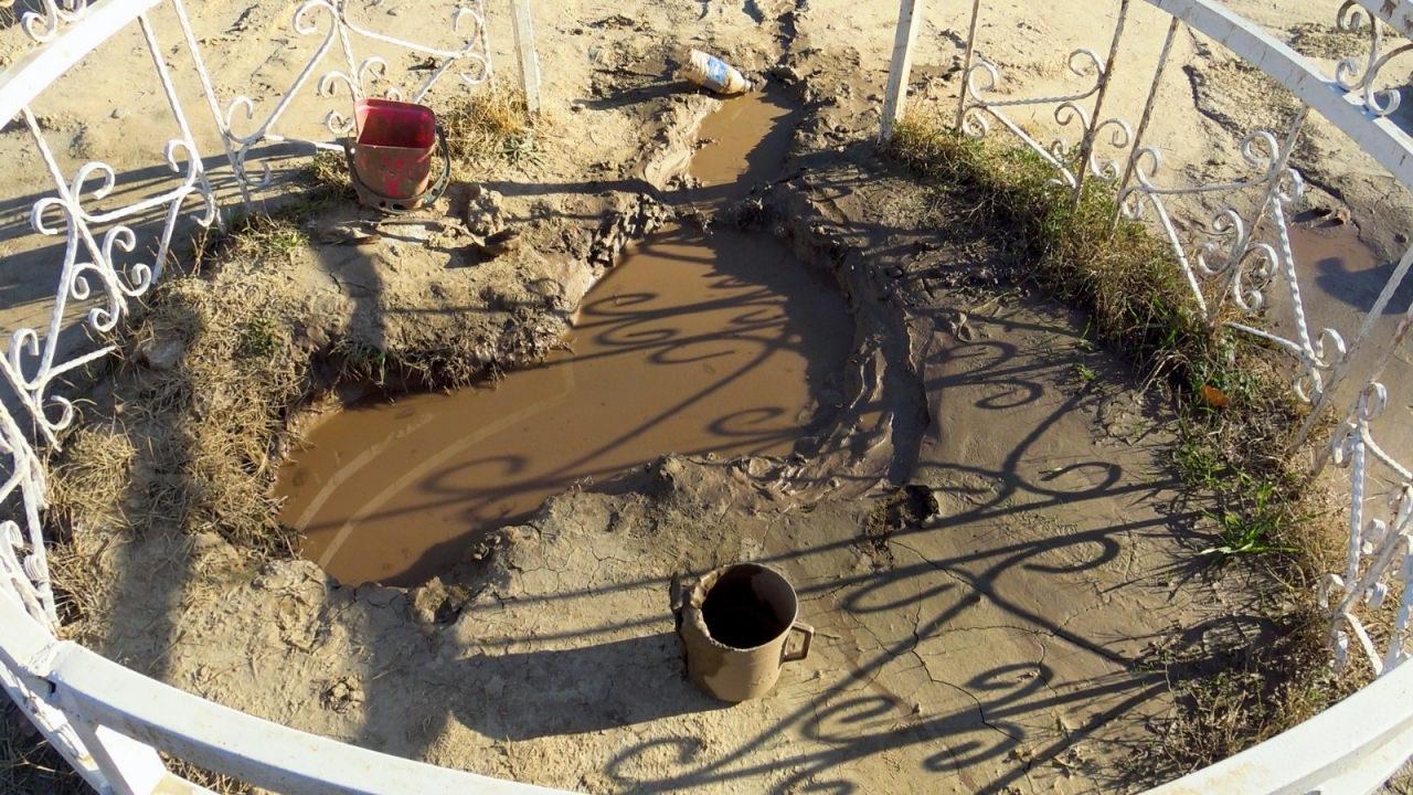 Mezarlıktan şifa çıkıyor! Avrupa'dan kalkıp Karaman'a geliyorlar