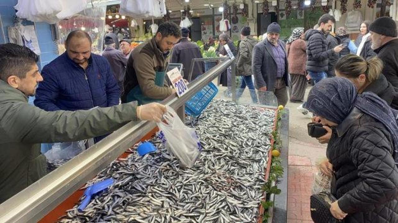 Hamsi bolluğu sürüyor: Kilosu 200 lira