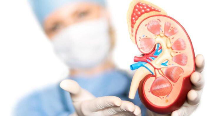 Her 400 kişide bir görülüyor, belirti vermeden ilerliyor! Uzmanlardan böbrek uyarısı