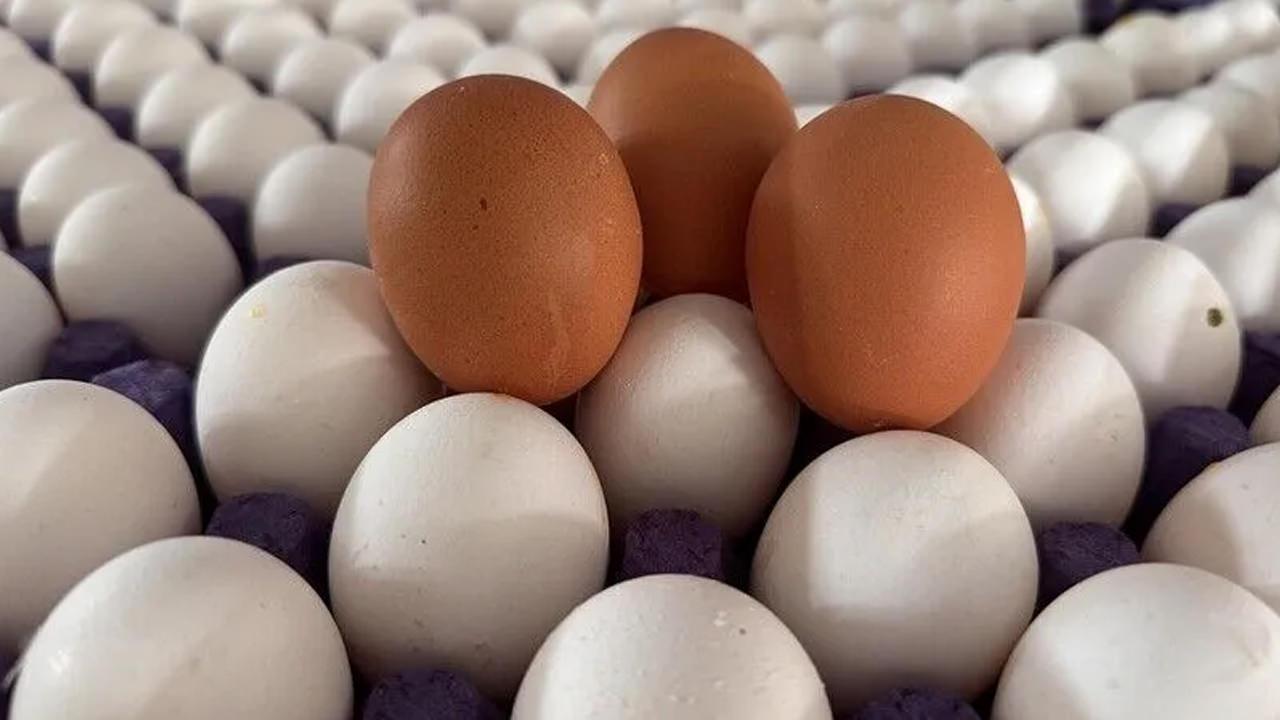 Yumurtada bu işaretle karşılaşırsanız sakın almayın! Hemen değiştirin