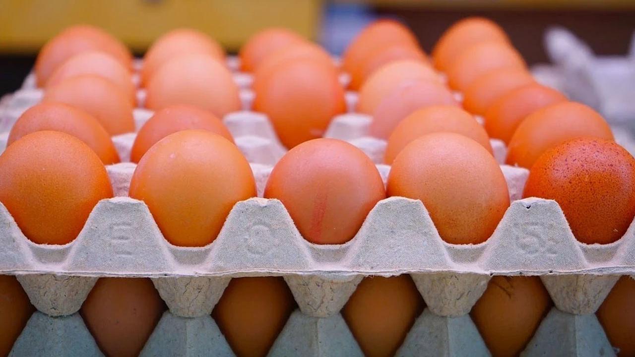 Yumurtada bu işaretle karşılaşırsanız sakın almayın! Hemen değiştirin