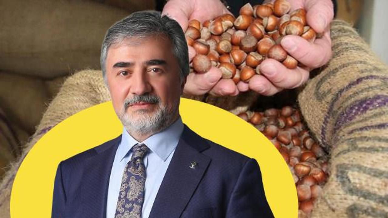 AK Partili Hamarat’tan fındık tüccarlarına çağrı: Üreticinin emeğini gözetin